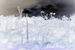 _mg_4765.jpg