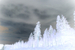 _mg_7069.jpg