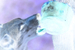 _mg_6917.jpg