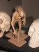 Thumbnail halcyon_aliencreature_01.jpg 