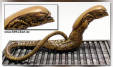 Thumbnail miniatures_chestburster_01.jpg 