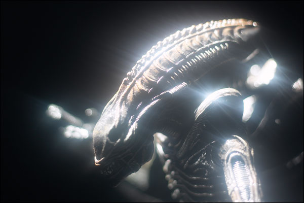 spawn_warrioralien_02.jpg 
