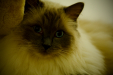 Thumbnail _mg_4057.jpg 