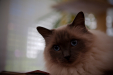 Thumbnail _mg_5961.jpg 