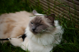 Thumbnail _mg_6036.jpg 