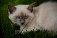 Thumbnail _mg_6082.jpg 