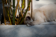 Thumbnail _mg_6164.jpg 