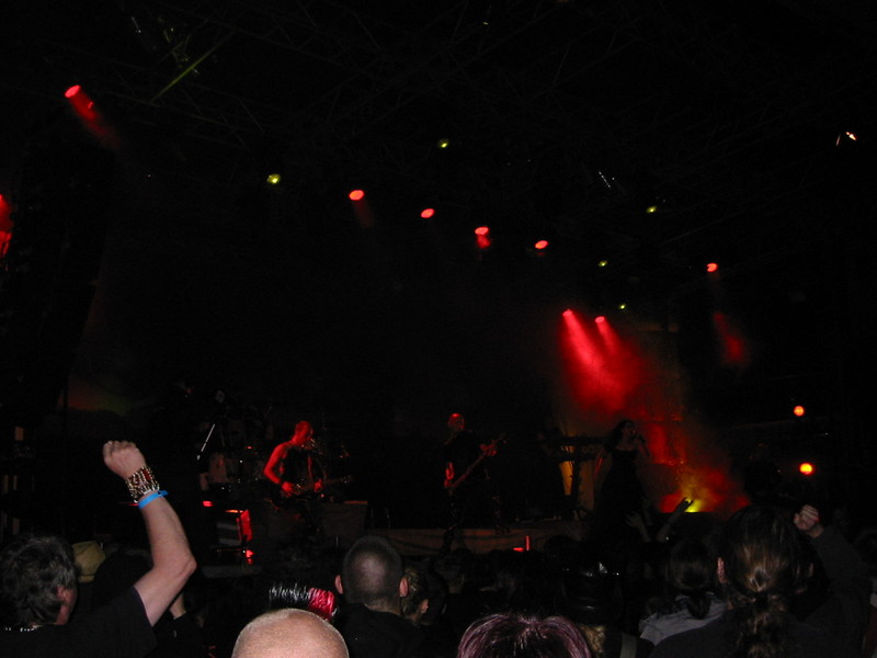 IMG_7407.JPG 