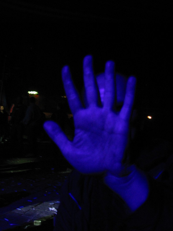 IMG_7439.JPG 