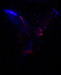 Thumbnail pic_05.jpg 