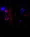 Thumbnail pic_07.jpg 