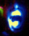 Thumbnail pic_12.jpg 