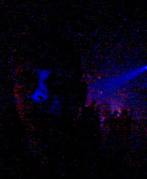 pic_09.jpg 