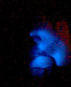 pic_11.jpg 