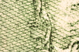 Thumbnail makro_06.jpg 