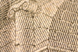 Thumbnail makro_09.jpg 