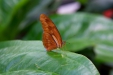 Thumbnail img_9597.jpg 