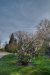 Thumbnail img_9706.jpg 