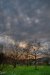 Thumbnail img_9736.jpg 