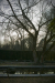 Thumbnail _mg_0203.jpg 