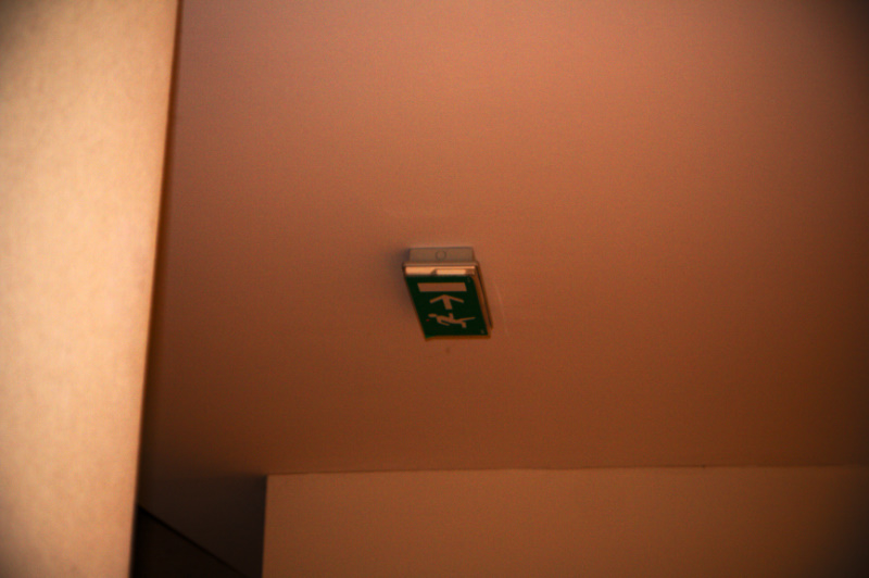 img1_9931.jpg 