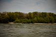 Thumbnail _mg_4900.jpg 