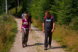 Thumbnail img_2113.jpg 