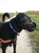 Thumbnail IMG_8893.JPG 