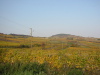 Thumbnail IMG_8895.JPG 