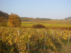 Thumbnail IMG_8896.JPG 