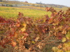 Thumbnail IMG_8897.JPG 