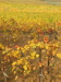 Thumbnail IMG_8899.JPG 