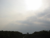 Thumbnail IMG_8901.JPG 