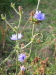Thumbnail IMG_8913.JPG 