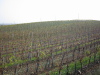 Thumbnail IMG_8949.JPG 