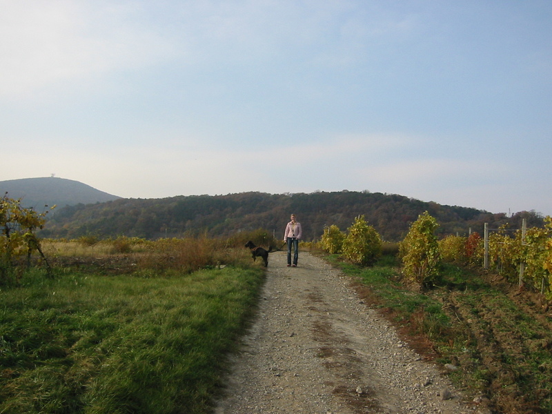 IMG_8889.JPG 