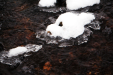 Thumbnail img_1955.jpg 