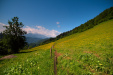 Thumbnail img_5153.jpg 
