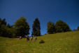Thumbnail img_5157.jpg 