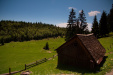 Thumbnail img_5183.jpg 