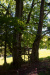 Thumbnail img_5185.jpg 