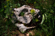Thumbnail img_5187.jpg 