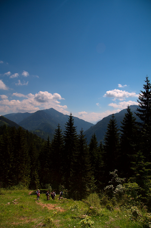 img_5156.jpg 