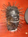 Thumbnail IMG_0928.JPG 