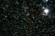Thumbnail img_2852.jpg 