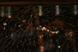 Thumbnail img_2858.jpg 