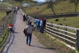 Thumbnail img_8223.jpg 