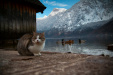 Thumbnail img_3126.jpg 