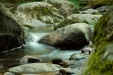Thumbnail img_0402.jpg 