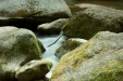 Thumbnail img_0420.jpg 